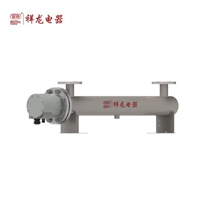China Manufacturer Industrial Horizontal regeneration heater for DIW DI water deionized water